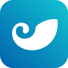h5 app